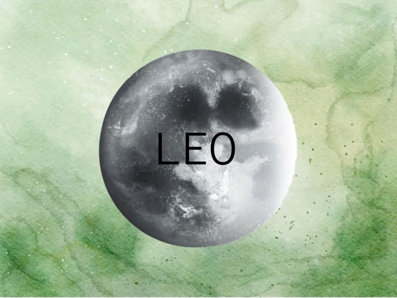 LEO